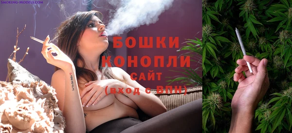 бошки Богданович