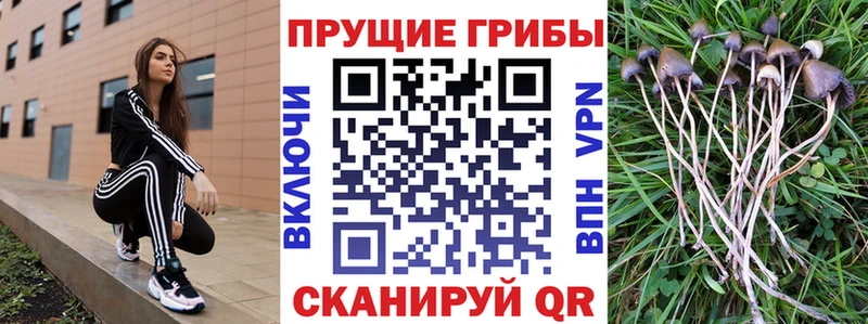 Галлюциногенные грибы мухоморы  купить  сайты  Соль-Илецк 